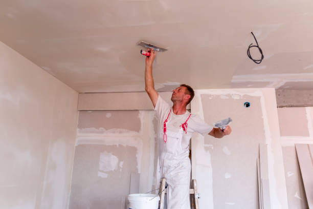 Best Drywall Sanding and Smoothing  in Olivet, MI